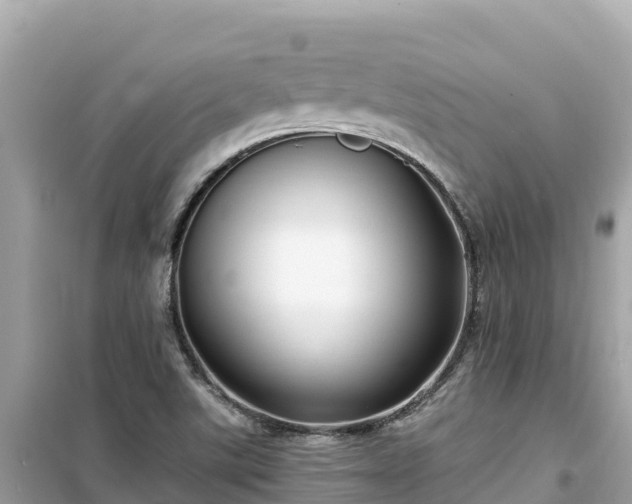 X0000099521507200805221433