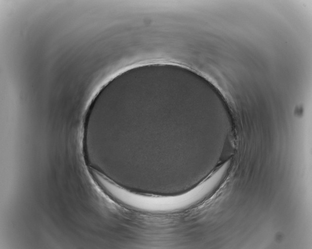 X0000099521508200805221433