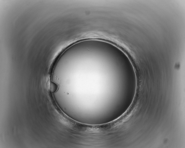 X0000099521509200805221433