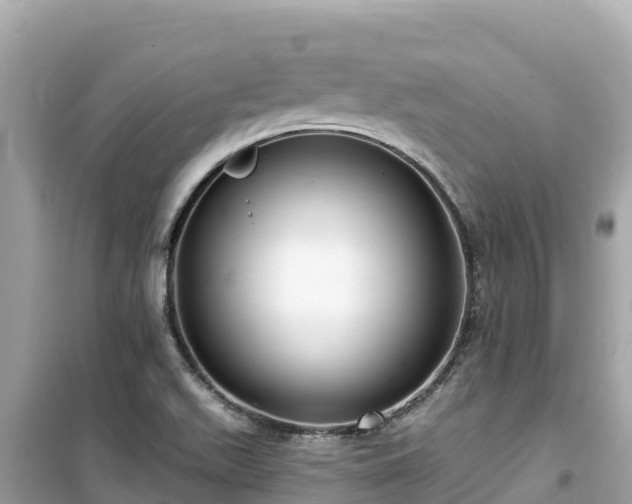 X0000099521511200805221433