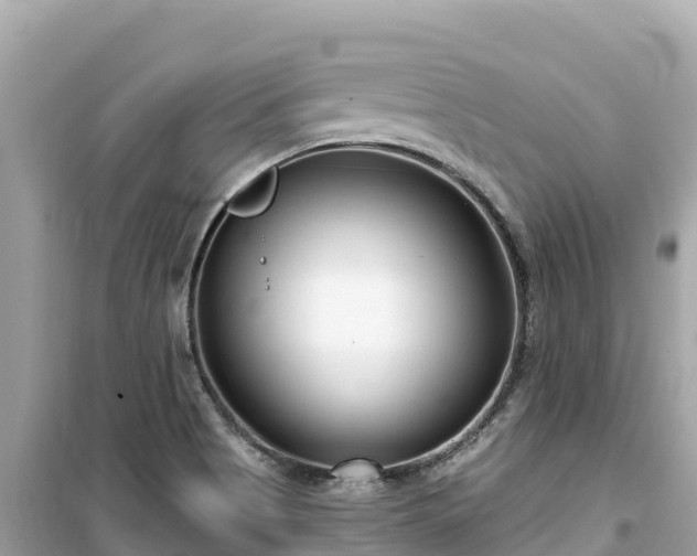 X0000099521513200805221433