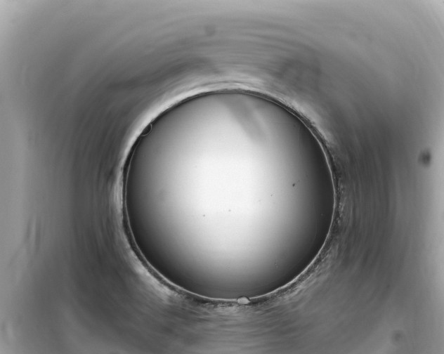 X0000099521516200805221433