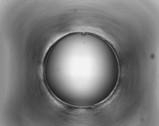 X0000099521517200805221433