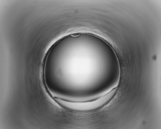 X0000099521518200805221433