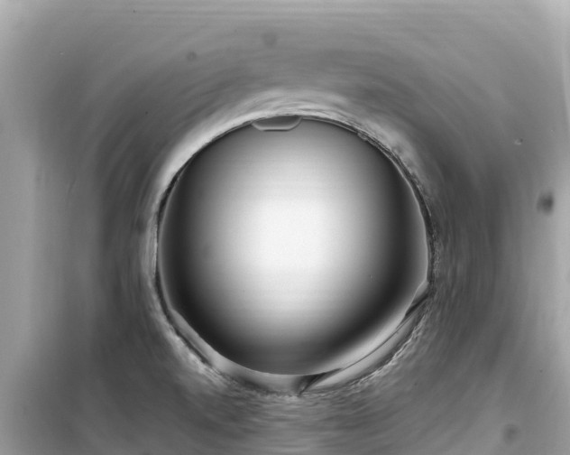 X0000099521520200805221433