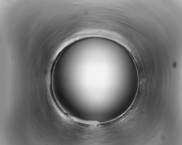 X0000099521523200805221433
