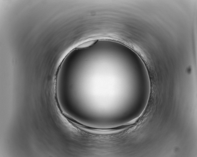 X0000099521524200805221433