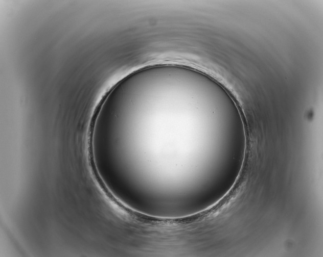 X0000099521525200805221433