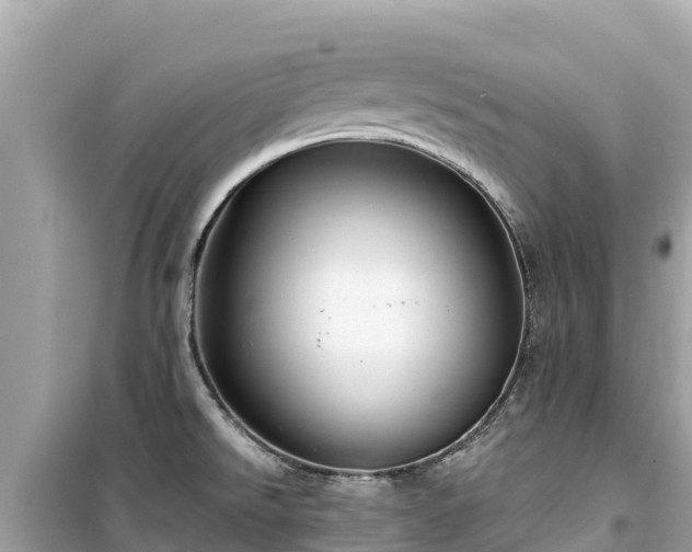 X0000099521526200805221433