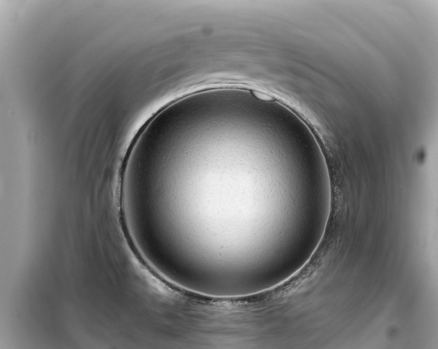X0000099521527200805221433