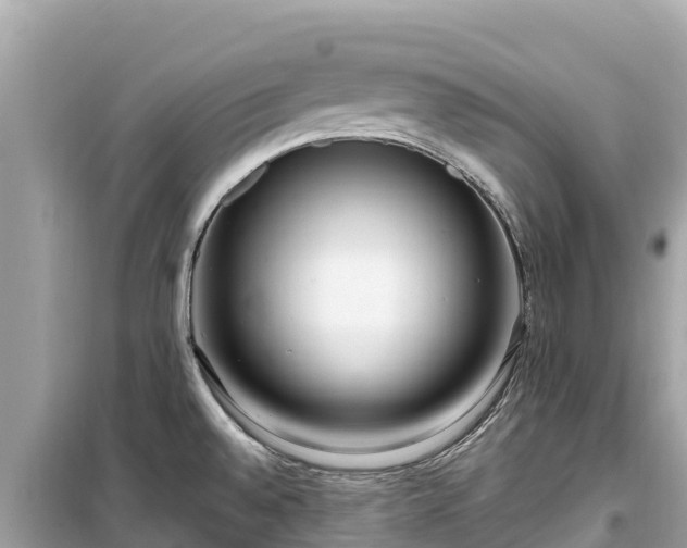 X0000099521528200805221433