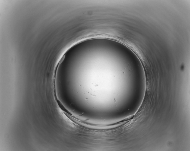 X0000099521532200805221433