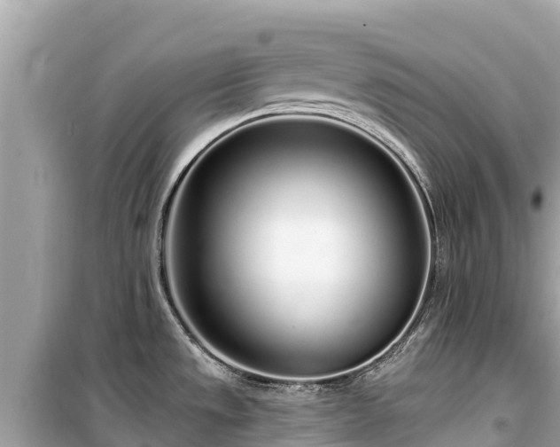 X0000099521533200805221433