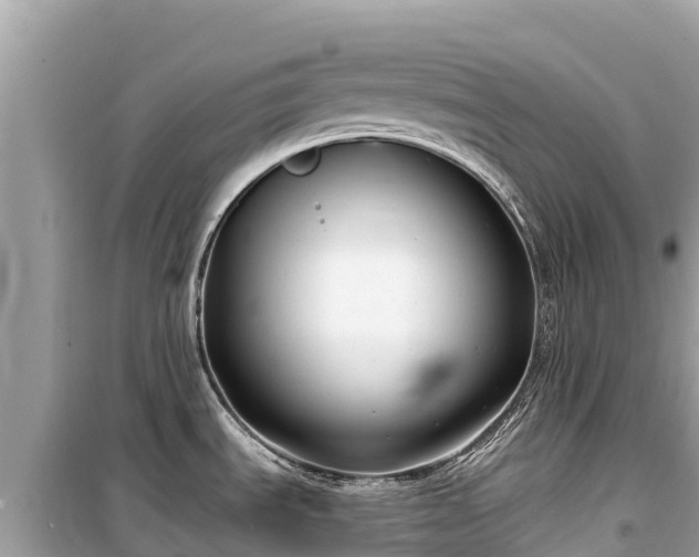 X0000099521535200805221433