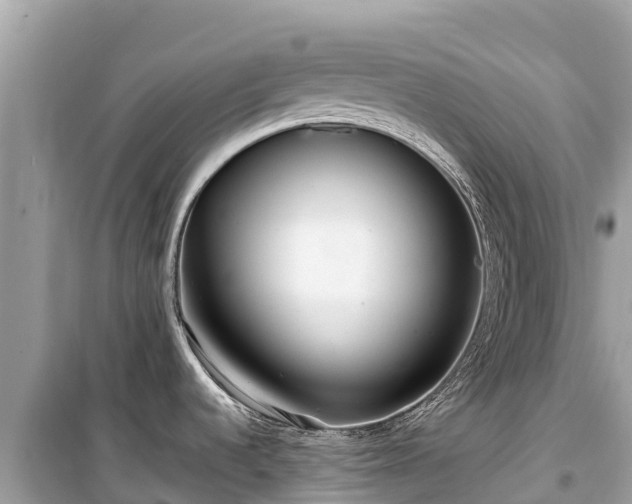 X0000099521536200805221433