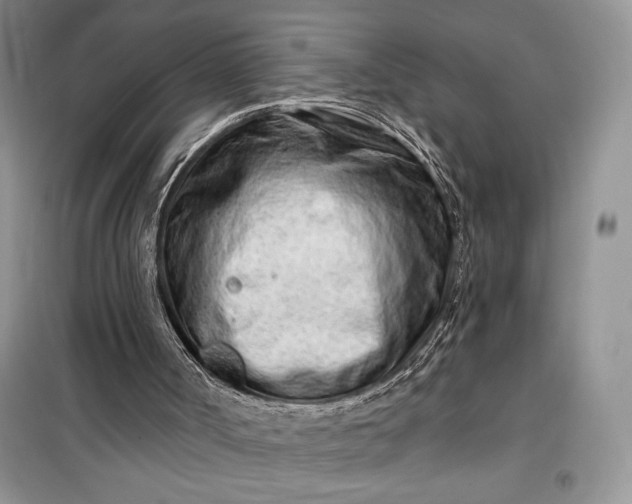 X0000099520002200805291221