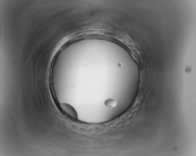 X0000099520003200805291221