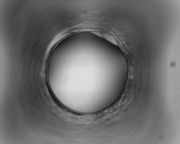 X0000099520004200805291221