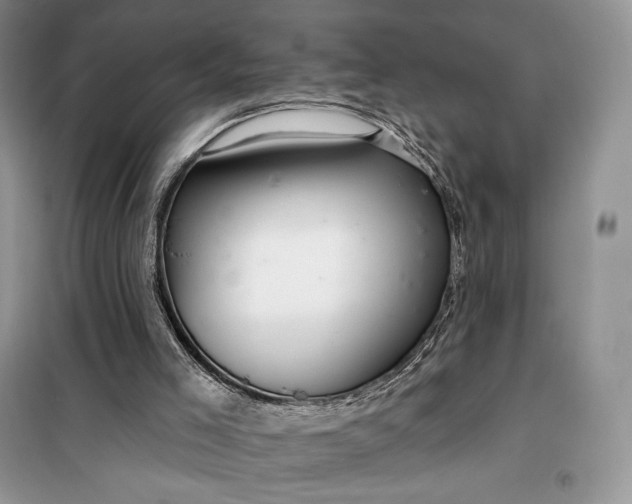 X0000099520005200805291221