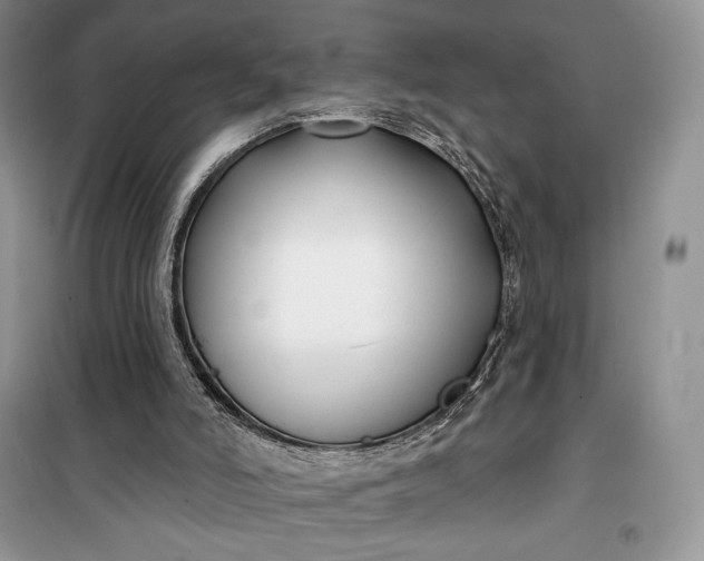 X0000099520006200805291221