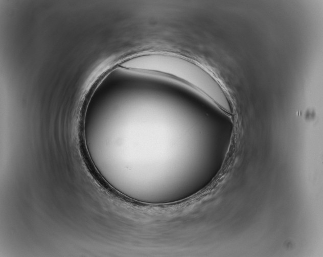 X0000099520007200805291221