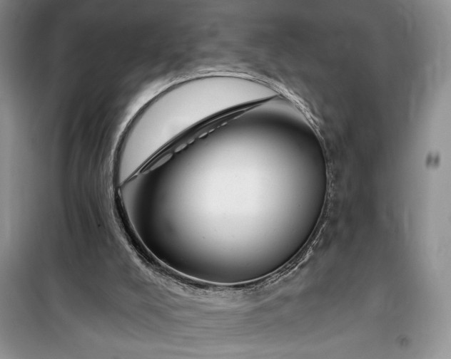 X0000099520008200805291221