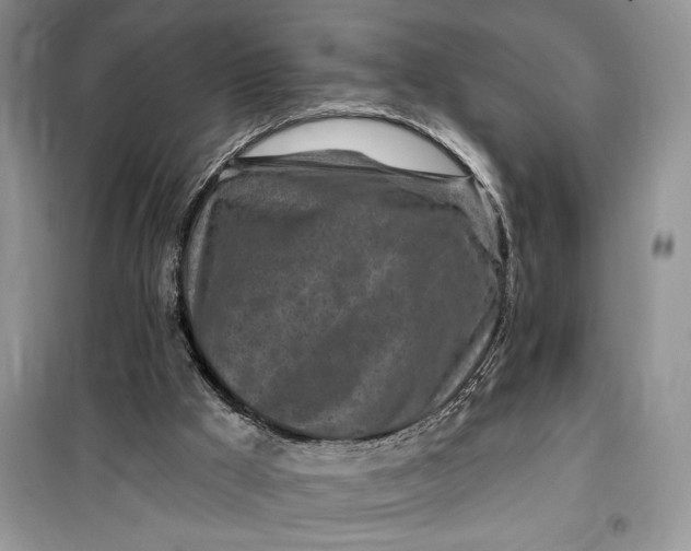 X0000099520009200805291221