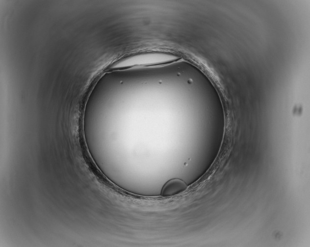 X0000099520010200805291221