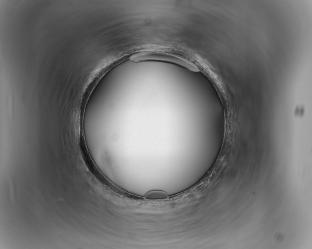 X0000099520011200805291221