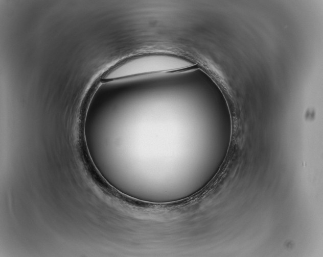 X0000099520012200805291221