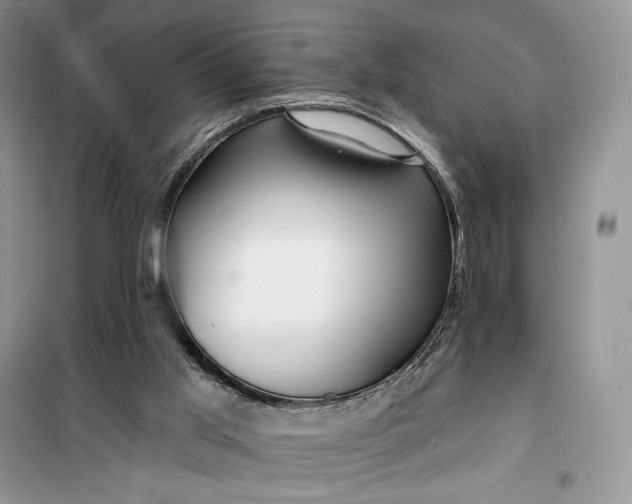 X0000099520013200805291221