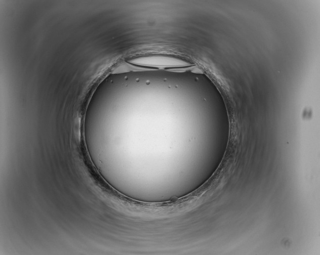 X0000099520014200805291221