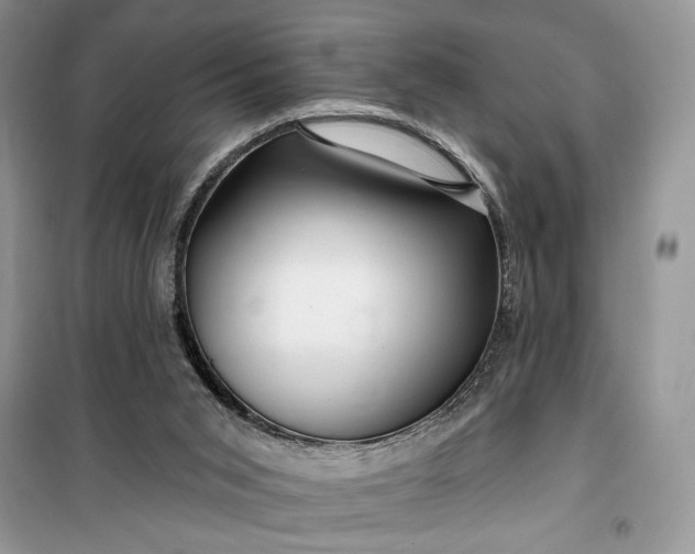 X0000099520015200805291221