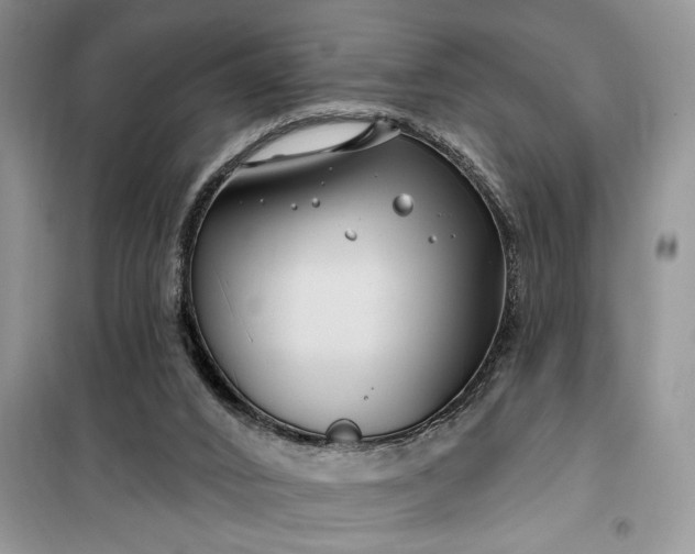 X0000099520016200805291221