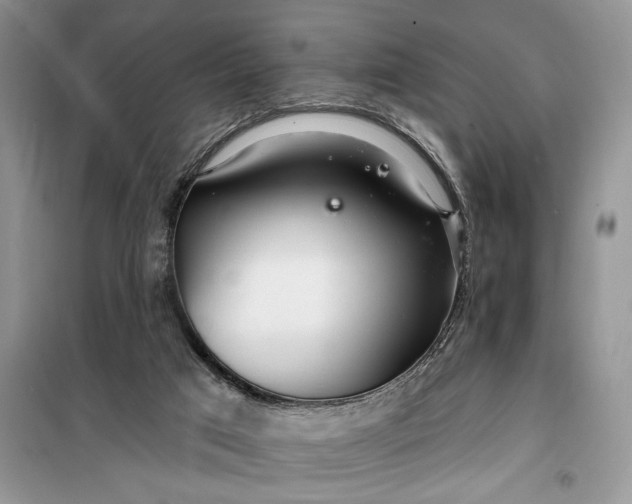 X0000099520017200805291221