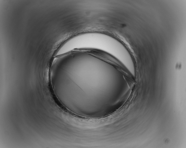 X0000099520019200805291221