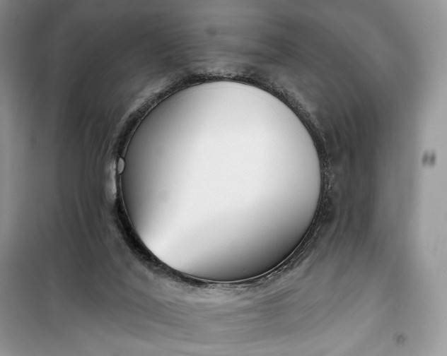 X0000099520020200805291221