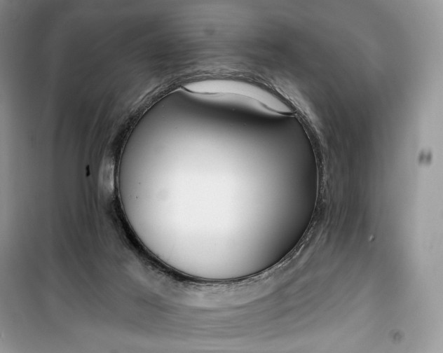 X0000099520021200805291221