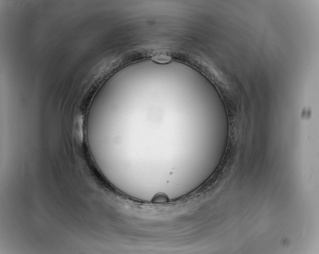 X0000099520022200805291221