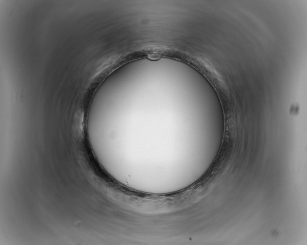 X0000099520024200805291221