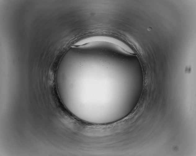 X0000099520025200805291221