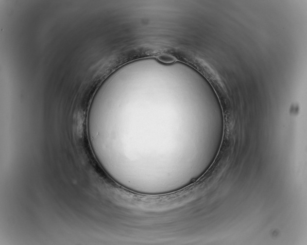 X0000099520026200805291221