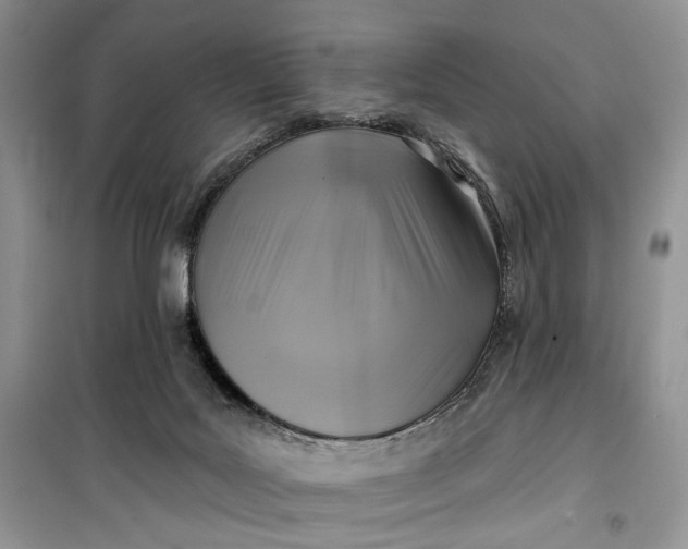 X0000099520027200805291221