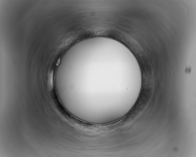 X0000099520028200805291221