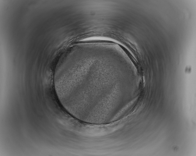 X0000099520029200805291221