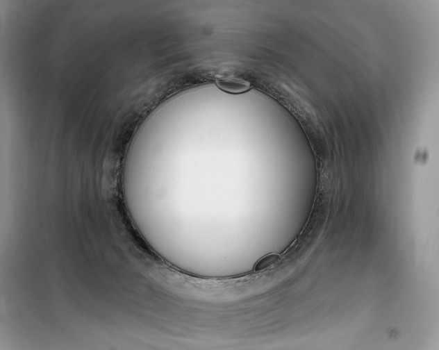 X0000099520030200805291221