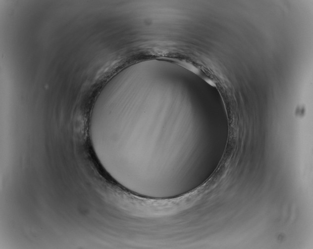 X0000099520031200805291221