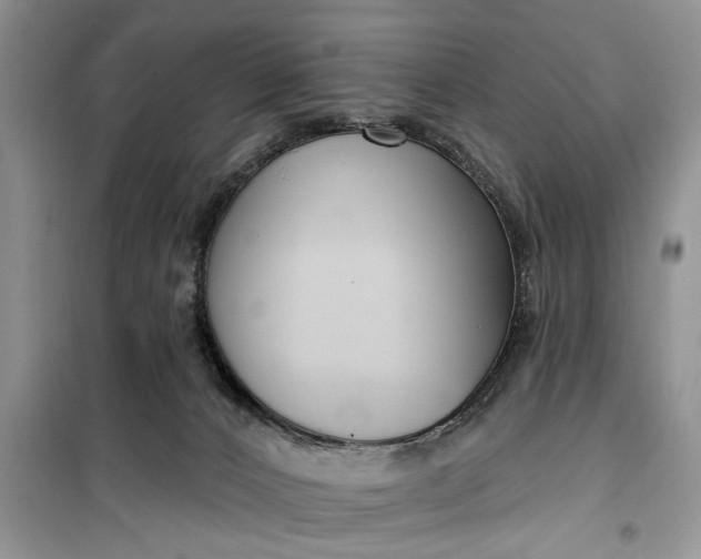 X0000099520032200805291221