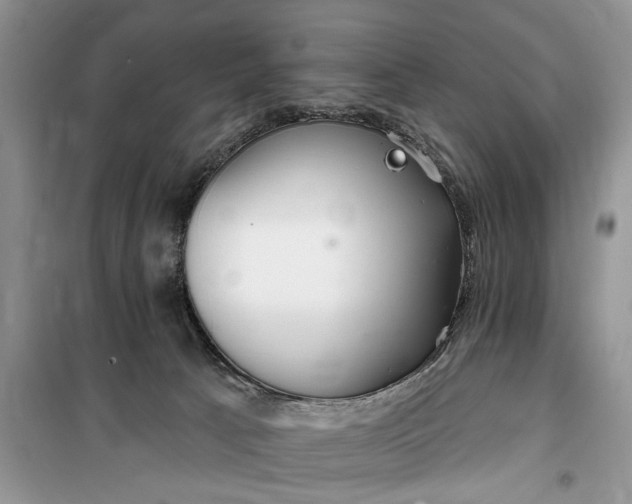 X0000099520033200805291221