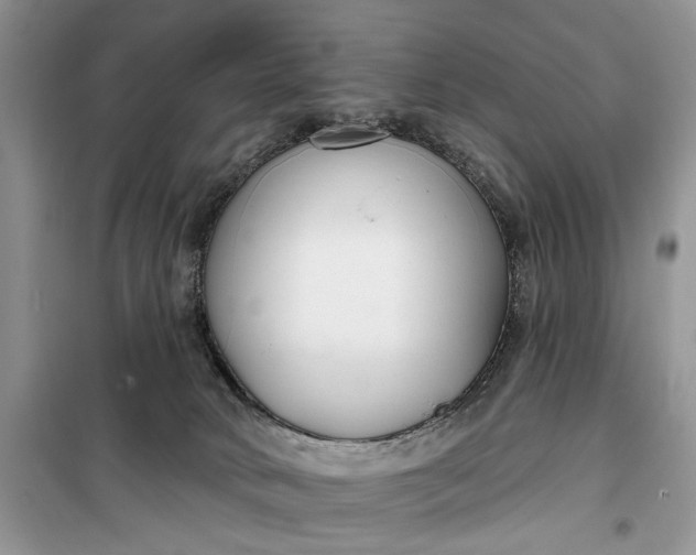 X0000099520034200805291221